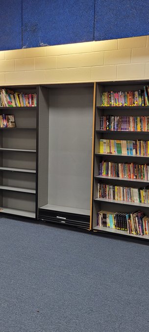 Several of the shelves in the Royal STEM Academy's library are unusable due to water leaks. Water damage to the shelves and possible water damage to the books they would hold prevents the library from being used the way administrators would like it to be.