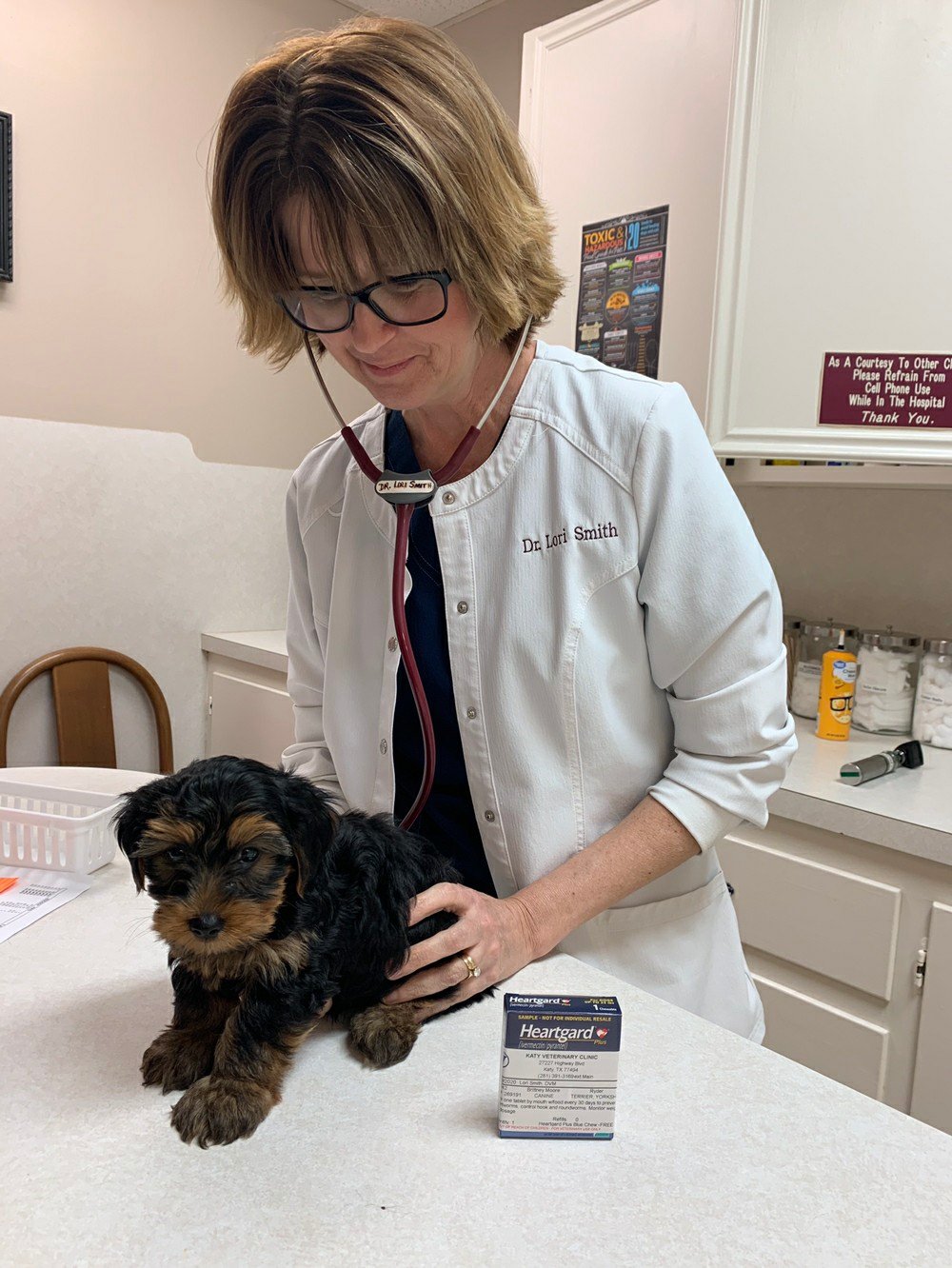 Regular checkups and preventive care facilitate communication with veterinarians who can provide feedback on how to take care of animals in the heat as temperatures rise. Advice can be tailored to each animal's health situation.