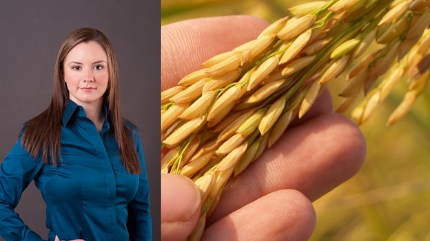 Marcela Garcia is the new CEO of the U.S. Rice Producers Association. She is a graduate of the University of Houston and has more than a decade of experience working with rice growers in various roles.